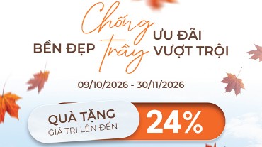 Bền đẹp Chống Trầy ưu đãi vượt trội cùng Malloca