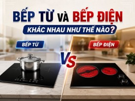 Bếp Từ Và Bếp Điện Khác Nhau Như Thế Nào? Nên Chọn Loại Nào?