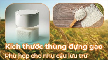 Lựa chọn kích thước thùng đựng gạo phù hợp cho nhu cầu lưu trữ