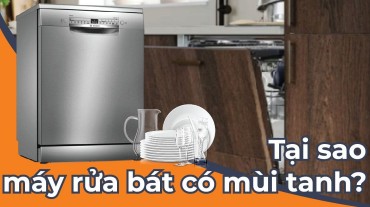Tại sao máy rửa bát có mùi tanh? Nguyên nhân và cách khắc phục
