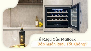 [Kiến Thức] Tủ Rượu Của Malloca Bảo Quản Rượu Tốt Không?