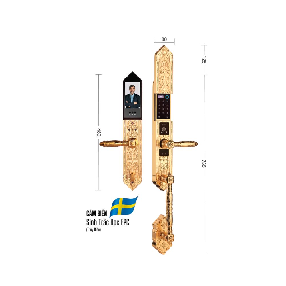 Kích thước Demax EL986 Gold