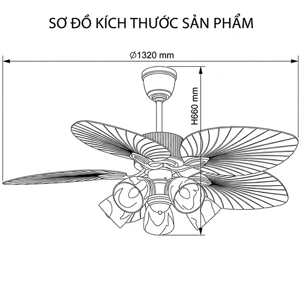 kích thước CD-505