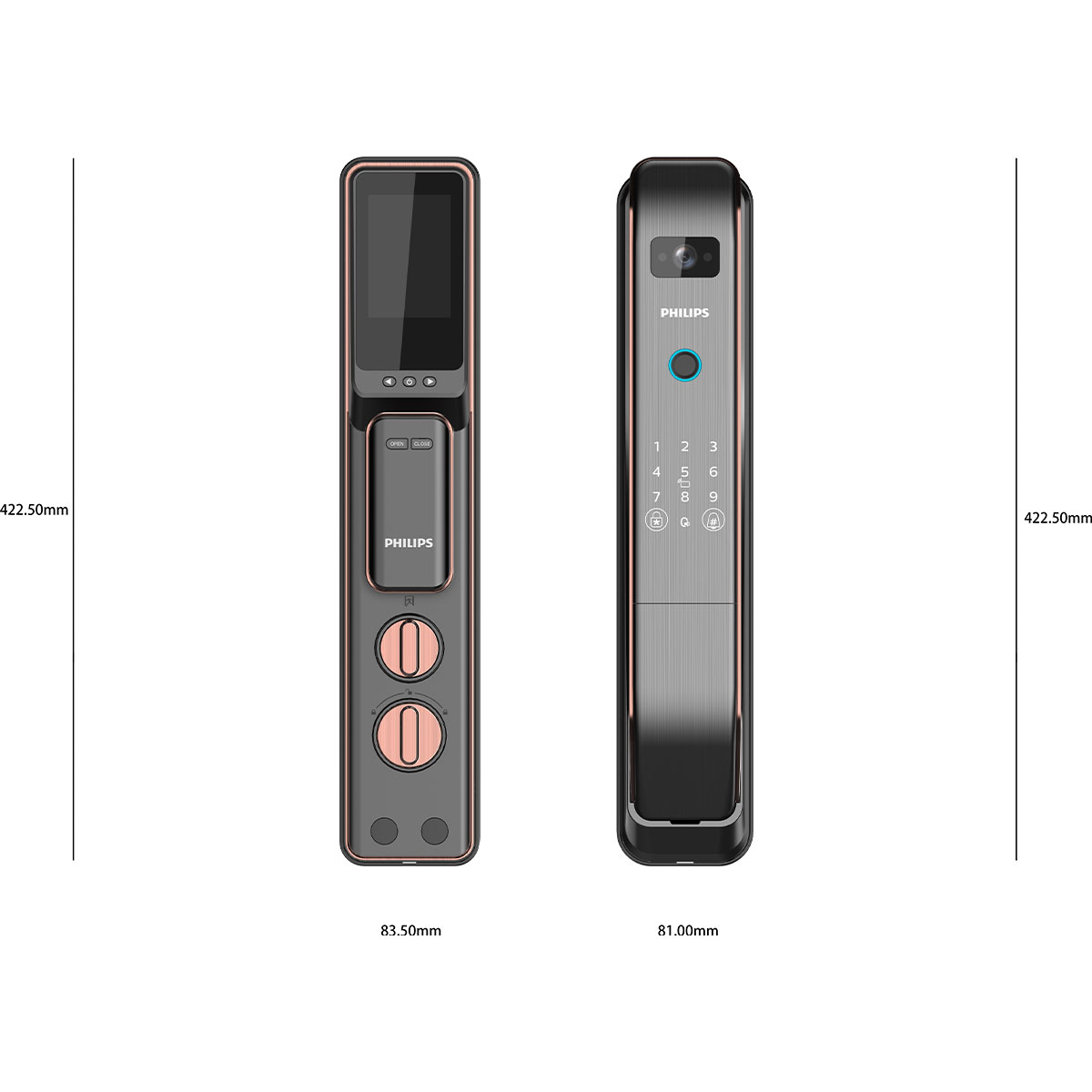 kích thước Philips DDL303-VP - đồng