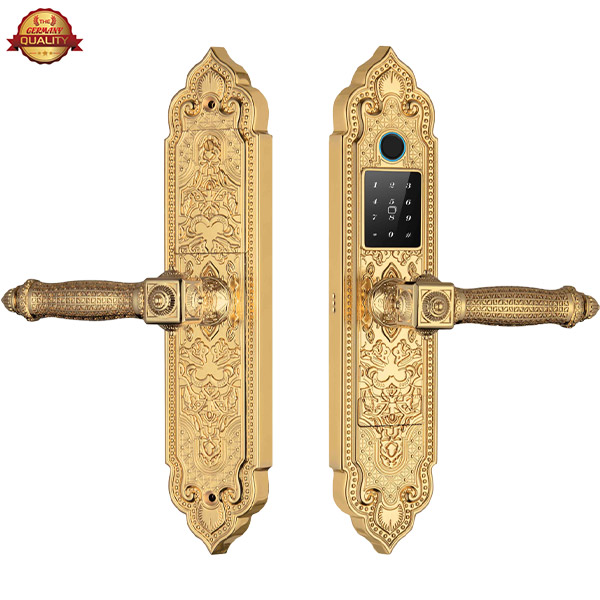 Khóa đại sảnh Kassler KL-919 Pro Gold APP