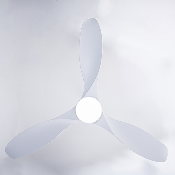 mặt dưới FL HD-305
