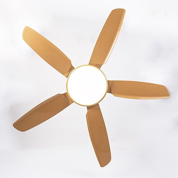 mặt dưới HD-501V