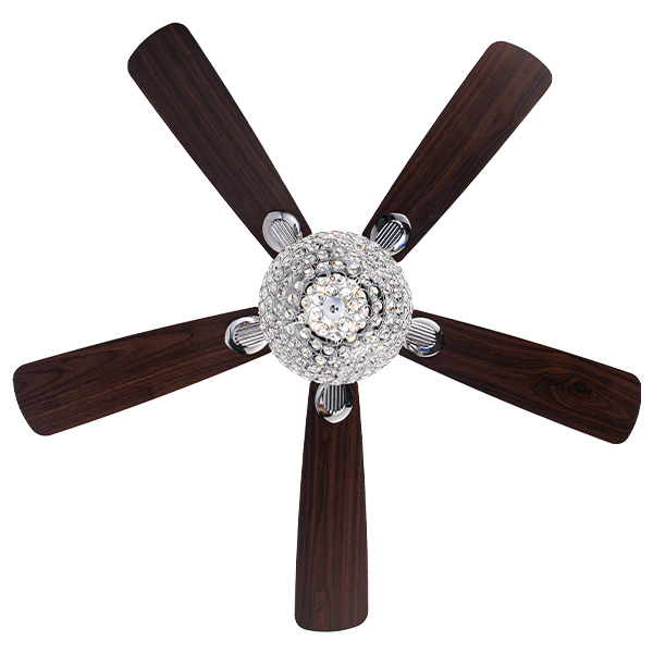 mặt dưới CD-503