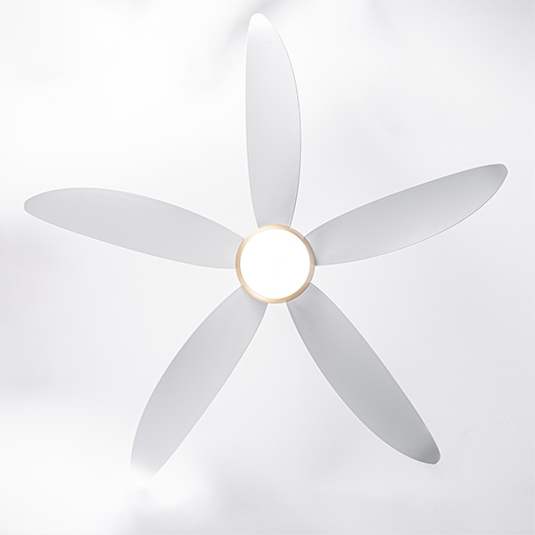 mặt dưới FL HD-505T