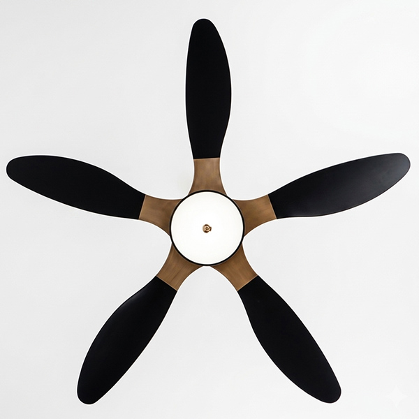 mặt dưới FL HD-507