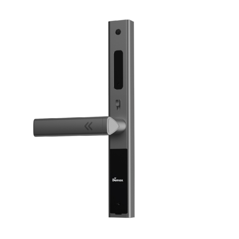 Mặt khoá Demax EL689 AG Wifi App