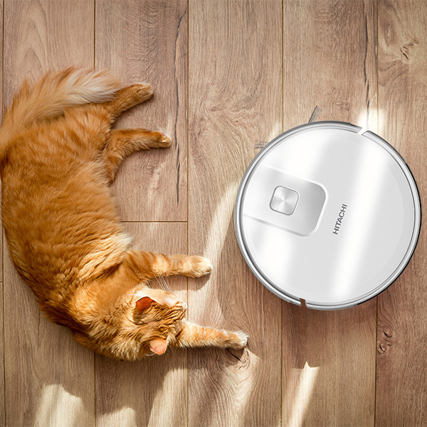 Nhận diện vật cản robot Hitachi RV-X15N