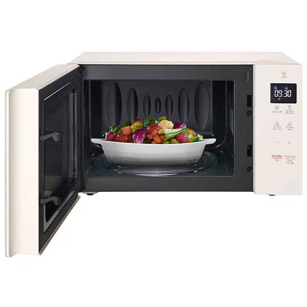 Nội thất 2 LG MS2032GIK