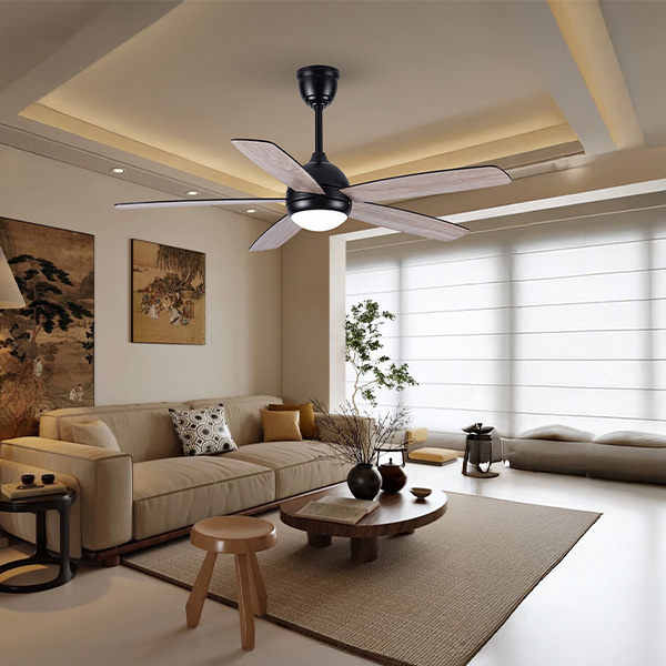 phối cảnh FL HD-503