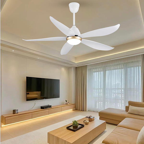 phối cảnh FL HD-505T