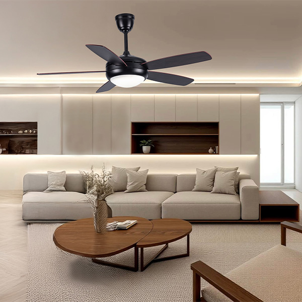 phối cảnh FL HD-510
