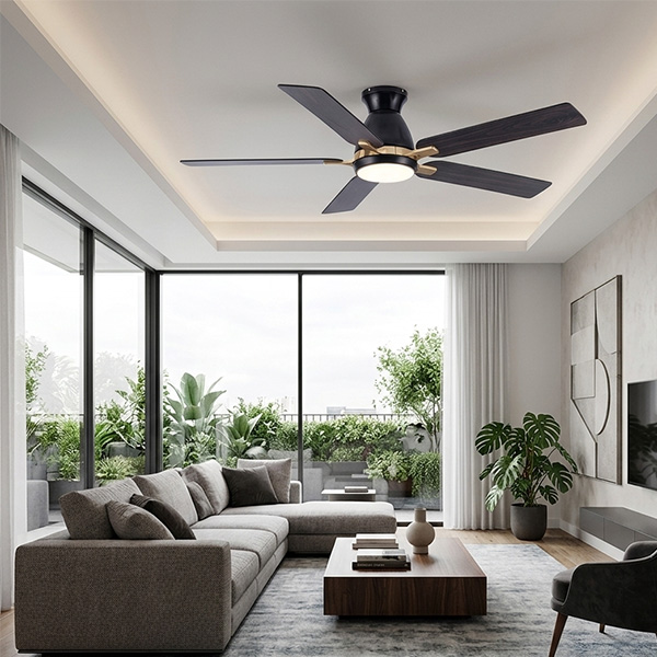 phối cảnh FL HD-511