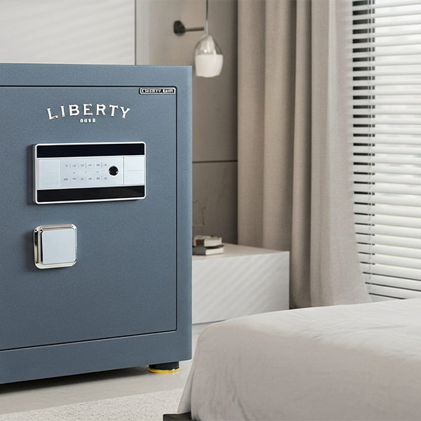 phối cảnh Liberty LB50S - xám