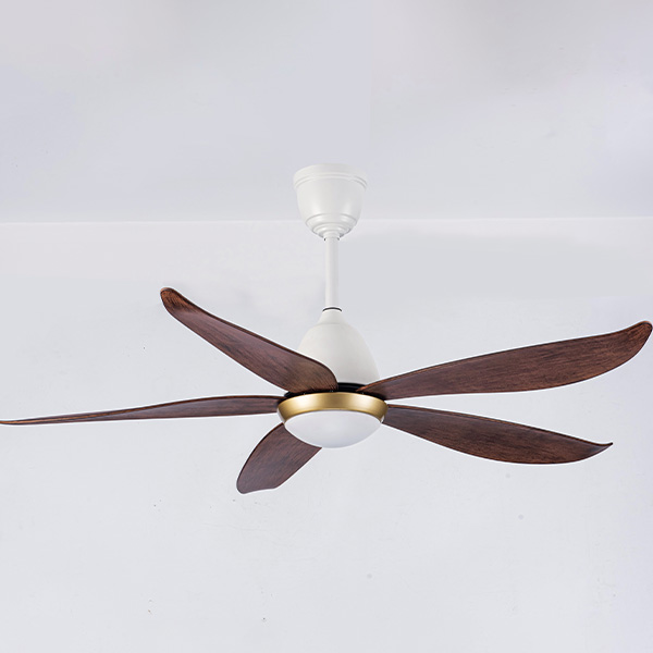 mặt nghiêng FL HD-505N