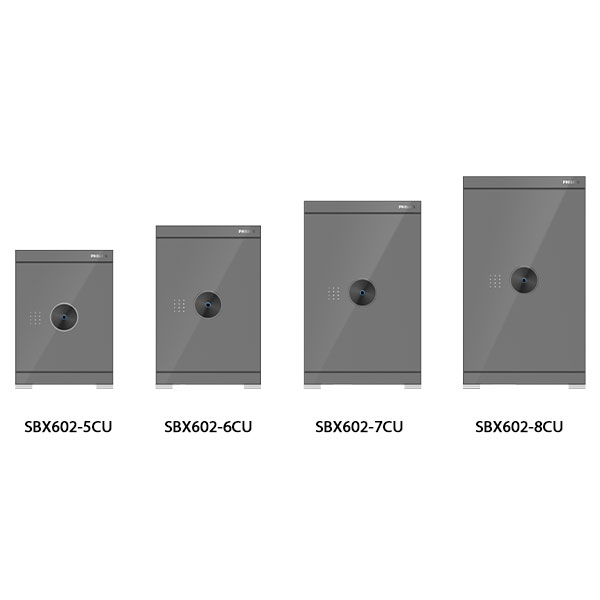 series Philips SBX602 - Xám