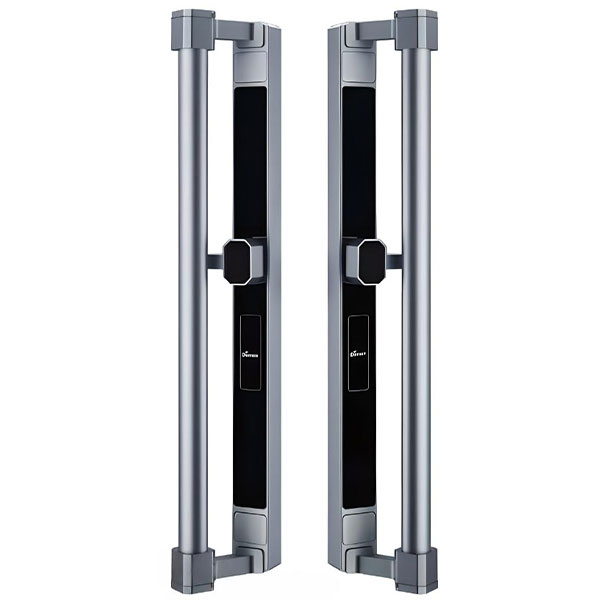 Tay đẩy khóa đại sảnh biệt thự Demax GL808 GS LUX