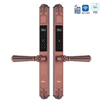 Khoá vân tay cửa nhôm Demax EL686 AC Remote