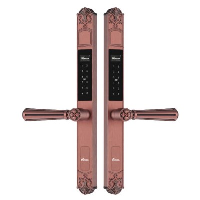 Khoá vân tay cửa nhôm Demax EL686 AC Wifi App