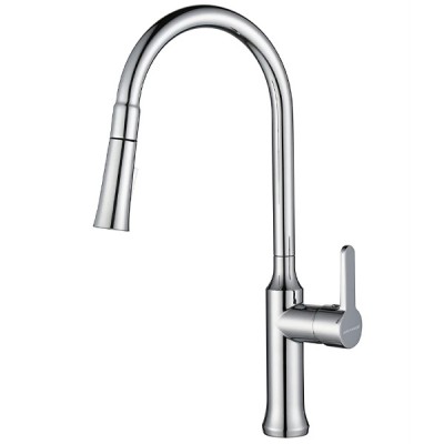 Vòi rửa chén Grandx GXF12