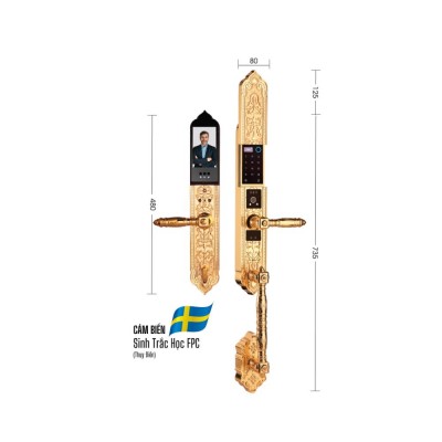 Kích thước Demax EL986 Gold