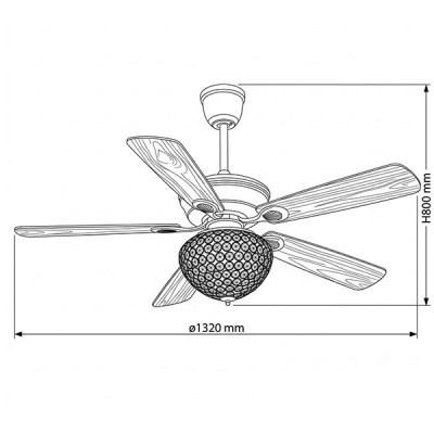 kích thước CD-503