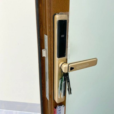 hình ảnh thực tế Kassler KL-599 LX Champagne APP - 3