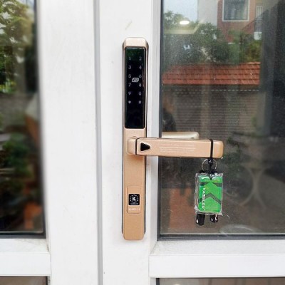 Kassler KL-599 LX Champagne APP - 4