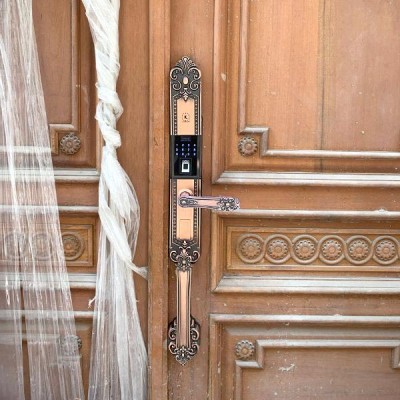 hình thực tế Kassler KL-979 R - 1