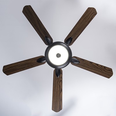 mặt dưới CD-504