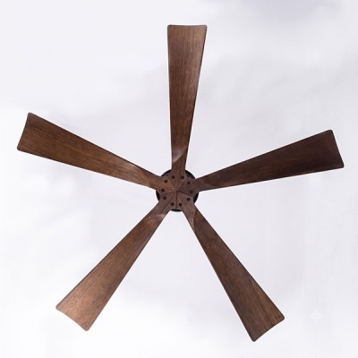 mặt dưới HD-509