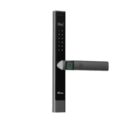 Mặt khoá 2 Demax EL689 AG Wifi App