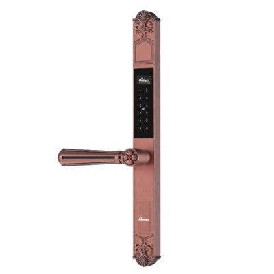 Mặt khoá Demax EL686 AC Remote 