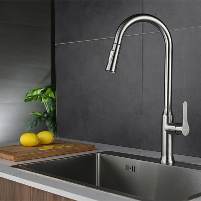 Phối cảnh Vòi rửa chén Grandx GXF11 Classic