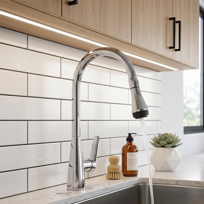Phối cảnh Vòi rửa chén GrandX GXF15 Pro