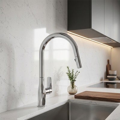 Phối cảnh  Vòi rửa chén GrandX GXF19