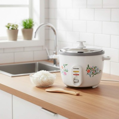 Phối cảnh Toshiba RC-18MH1PV(F)