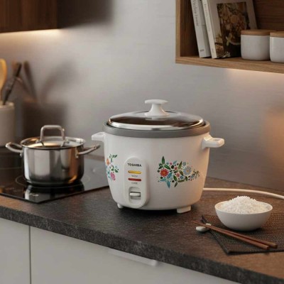 Phối cảnh Toshiba RC-18MH2PV(F)