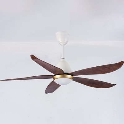 mặt nghiêng FL HD-505N