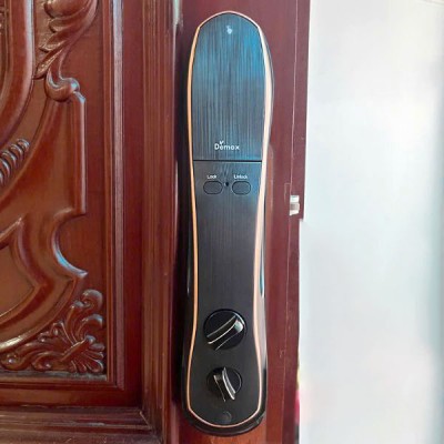 hình ảnh thực tế Khóa vân tay DEMAX SL668 BL - 3 hình ảnh thực tế Khóa vân tay DEMAX SL668 BL - 3