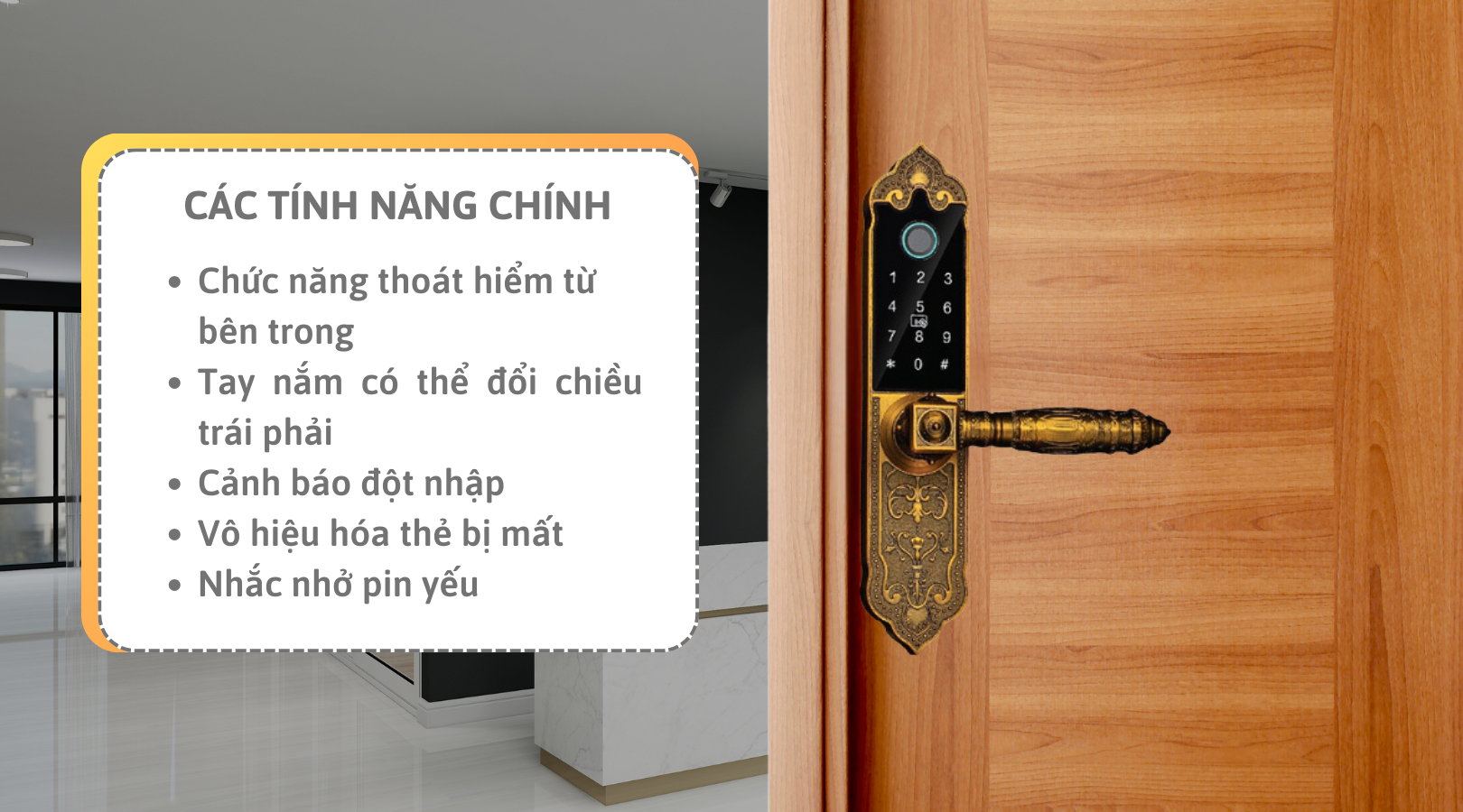 Một số tính năng chính của khóa Demax EL280 GB APP WIFI