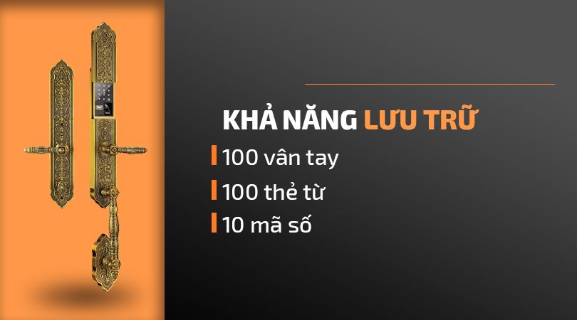 Demax EL888 GB Brass App Wifi - Khả năng lưu trữ