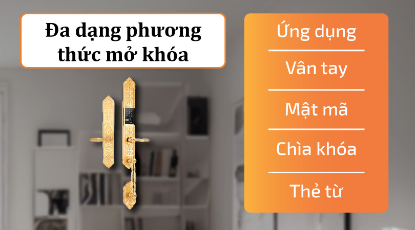 Demax EL888 24K Brass App Wifi - Đa dạng phương thức mở khóa