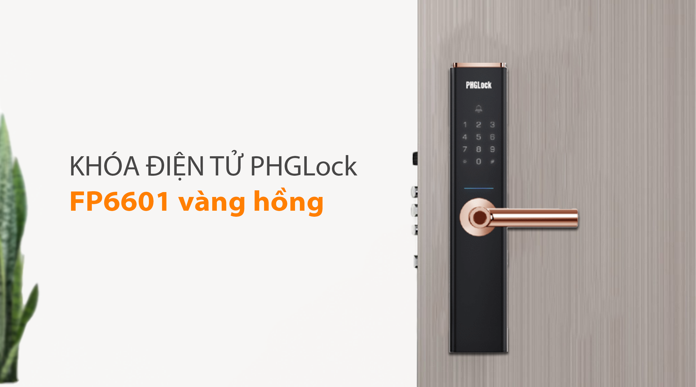 Chức năng chính của khóa PHGlock FP6601 vàng hồng