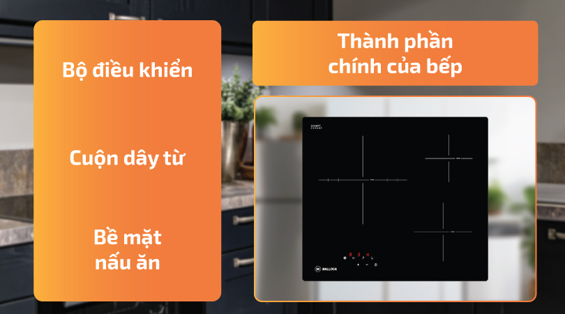 Thành phần chính của bếp điện từ - Thiên Kim Home