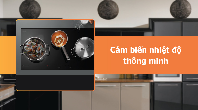 Bếp điện bếp từ Malloca cảm biến nhiệt độ thông minh - Thiên Kim Home
